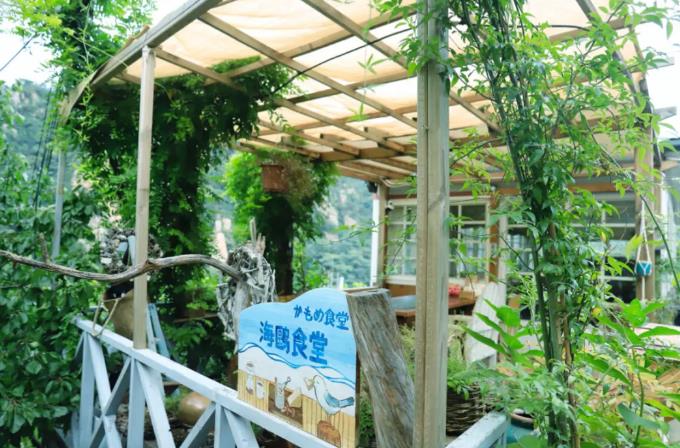青岛昨日乡村民宿：日式“小森林”昨日乡村民宿崂山店,影视