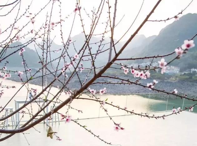 清新区桃花壹号民宿：清远市清新区浸潭镇桃花湖畔桃花壹号泥房民宿,影视