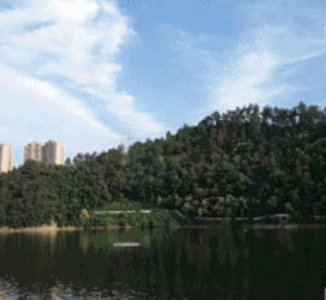 茅箭区心湖民宿：十堰市茅箭区百二河水库大坝 心湖民宿,影视