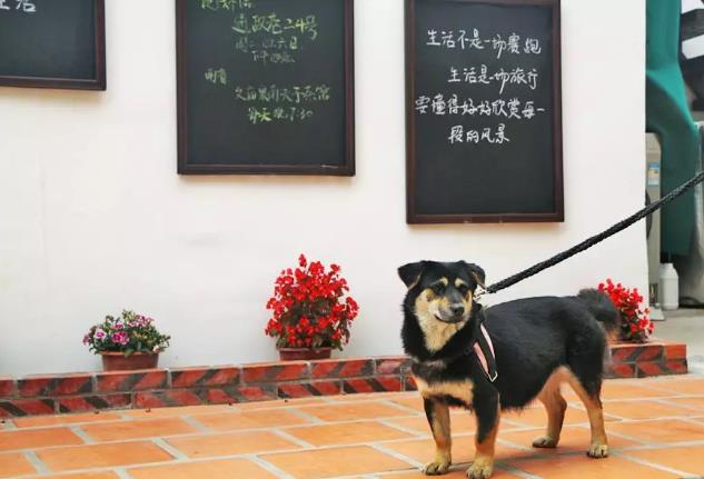 泉州西街-杨桃公馆民宿：泉州市西街复古民宿-慢居 杨桃公馆,影视