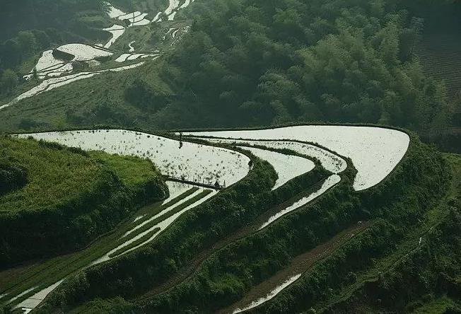 云和牧云居民宿：丽水市云和县崇头镇坑根村牧云居梯田民宿,影视