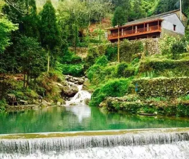 温州鹿城民宿-奢乡蜜苑民宿：鹿城区山福镇双潮东坑村民宿奢乡蜜苑,影视