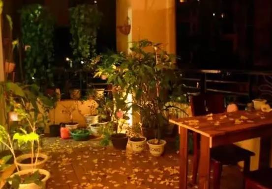 贵阳DreamGarden民宿：贵阳市花溪十里河滩火车站旁DreamGarden民宿,影视