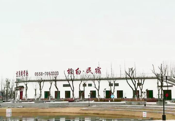 亳州极白民宿：亳州市谯城区望月潭公园-极白民宿-茶宿,影视