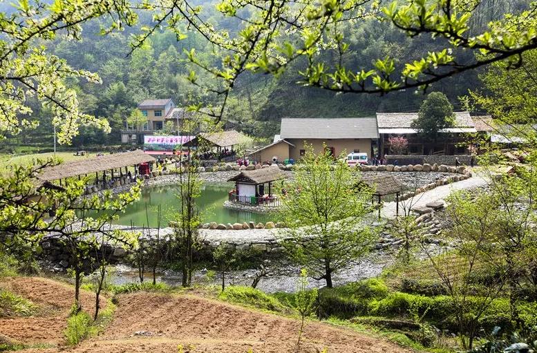 五峰民宿外婆家农家乐：宜昌市五峰县长乐坪村月山村邵家坪民宿,影视