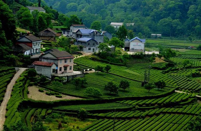 五峰田园居农家乐：宜昌五峰县渔洋关镇汉马池村田园居民宿,影视