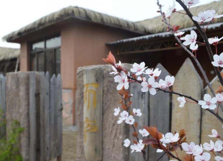 南京田园客栈民宿：南京市江宁区滨淮三国村田园客栈民宿,影视