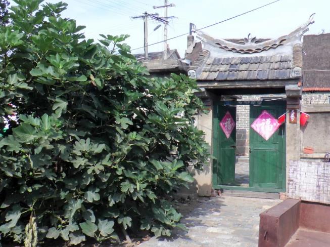 荣成东姚家山村民宿：威海荣成市埠柳镇东姚家山村民宿-近成山头,影视
