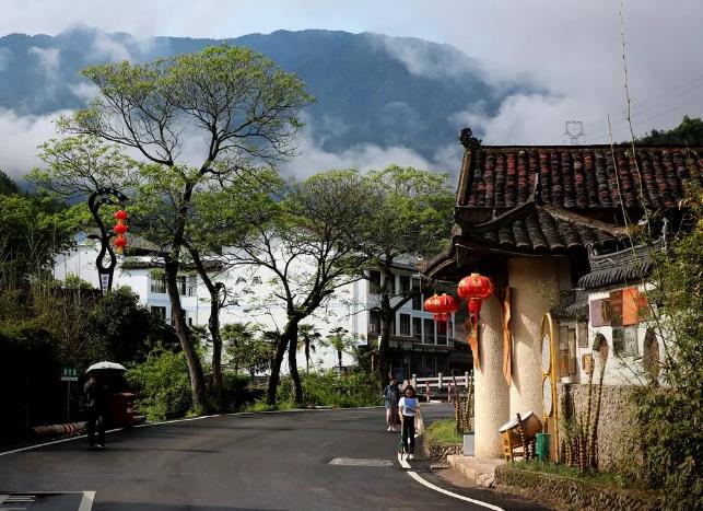 泰顺竹里馆民宿：温州泰顺县民宿竹主题竹里馆民宿,影视