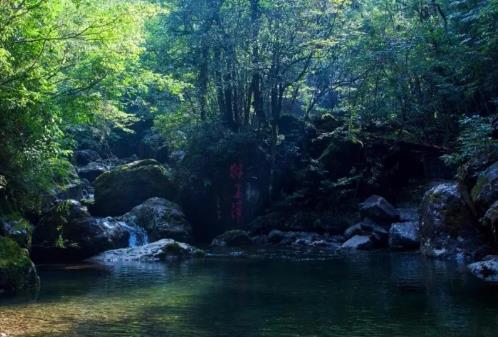 泰顺民宿开元·颐居：温州泰顺县乌岩岭景区民宿开元颐居,影视