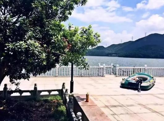 慈溪龙山临湖民宿：宁波市慈溪民宿龙山临湖民宿,影视