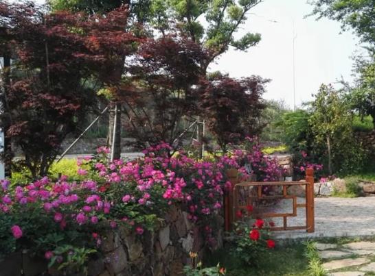 吾乡山舍民宿：苏州吴中金庭镇衙甪里村吾乡山舍民宿,影视