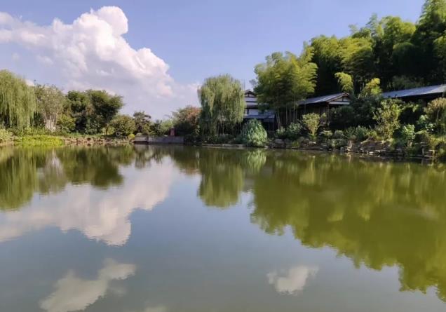 宜兴民宿-行香竹苑：无锡宜兴市行香竹苑民宿,影视
