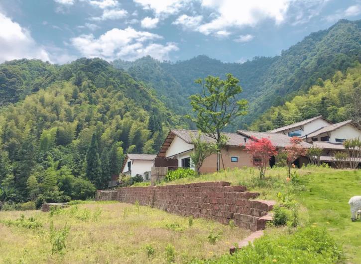 江津阅山民宿：重庆市江津区四面山景区阅山民宿,影视