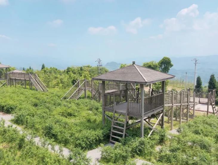 渝北民宿野兽花园农庄：重庆市渝北区茨竹镇野兽花园农庄民宿,影视