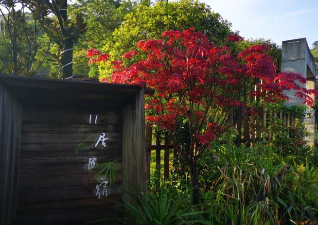 万盛凉风村11居民宿：重庆市万盛区关坝镇凉风村11居民宿,影视