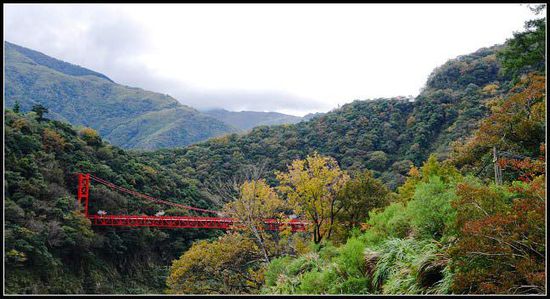 台湾旅游 赏枫叶的旅游景点 乌来风景区等22个,影视