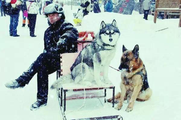 冬季国内旅游目的地 哈尔滨 长白山 撒欢儿,影视