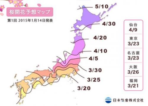 日本旅游  2015年樱花花期预测 樱花什么时候开,影视