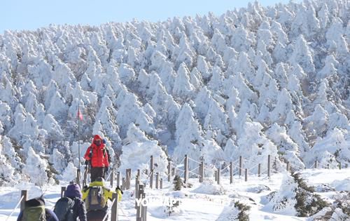 韩国旅游 汉拿山徒步冬游 韩国最高的山-汉拿山,影视