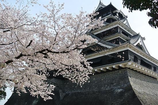 日本赏樱花旅游攻略-日本旅游,影视