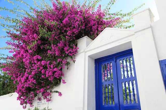 希腊旅游特色 饮食 住宿 购物_希腊蓝白爱琴海,影视