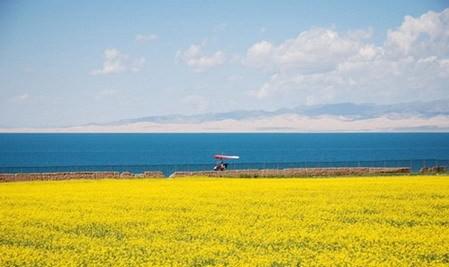 中国最有野性的20个旅行去处，你去过几个？,影视
