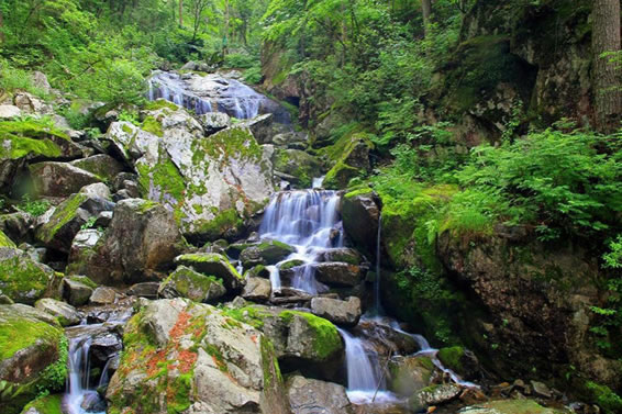 从电影《智取威虎山》 看取景地牡丹江的塞外风,影视