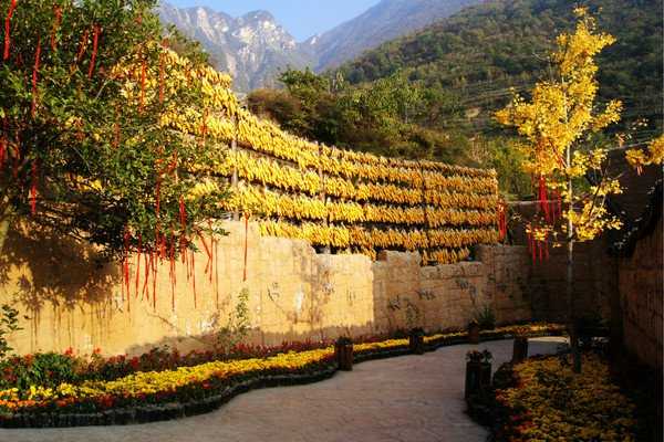 萝卜寨-四川阿坝州羌寨 中国8个最纯净旅行地,影视