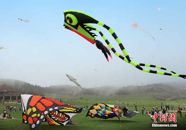 重庆武隆2015国际风筝放飞节 世界最长风筝,影视