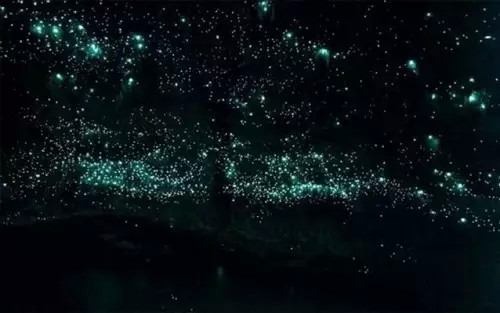 梦幻童话里的城堡 新天鹅堡 科尔马小镇等,影视