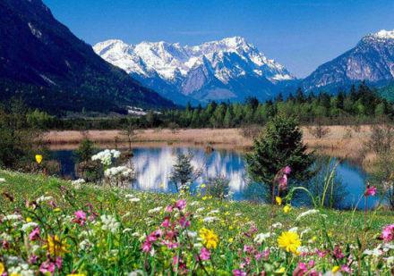 据称将消失的世界九大美景 大堡礁 死海 威尼斯,影视
