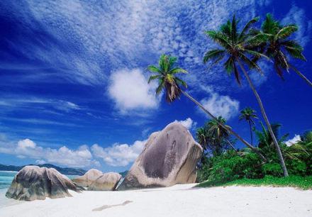 据称将消失的世界九大美景 大堡礁 死海 威尼斯,影视
