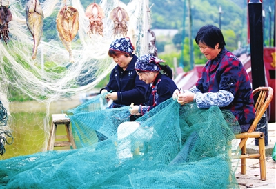 乡村旅游发展获良机:习近平舟山考察发言,影视