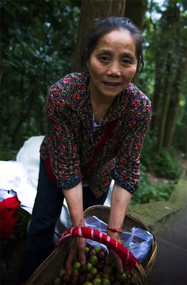 峨眉山旅游:雨后的峨眉山美景,影视