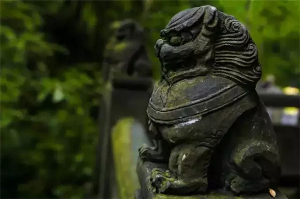 峨眉山旅游:雨后的峨眉山美景,影视