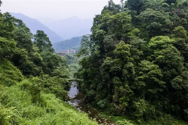 峨眉山旅游:雨后的峨眉山美景,影视