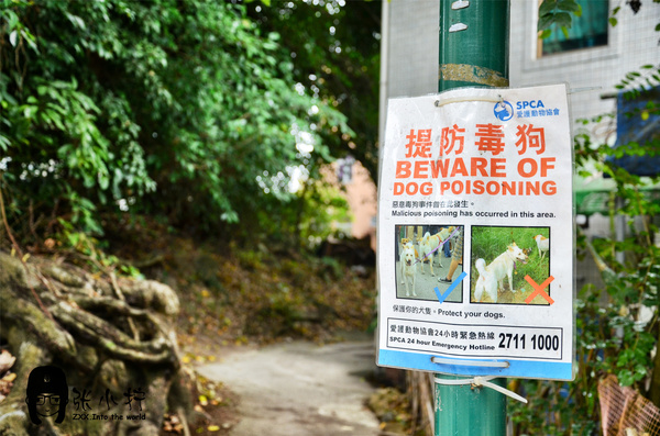 香港南丫岛旅游攻略 TVB电视剧外景地南丫岛,影视