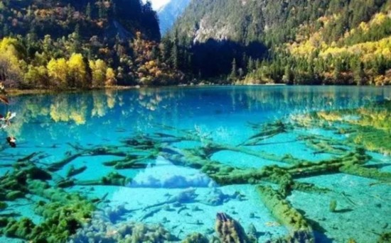牟尼沟:美过九寨沟的旅游景点-阿坝松潘县牟尼沟,影视