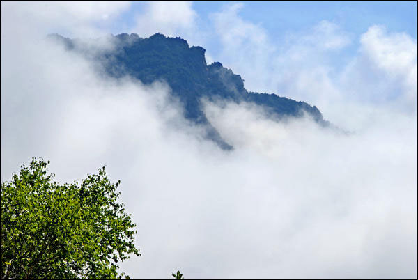 清秋风雨缠绵雾弥漫 细细情思总绕雾灵山,影视