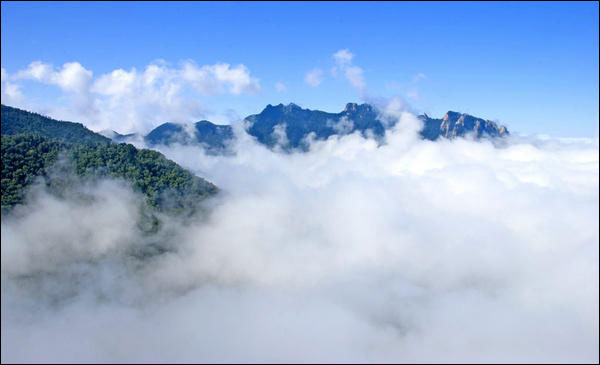 清秋风雨缠绵雾弥漫 细细情思总绕雾灵山,影视