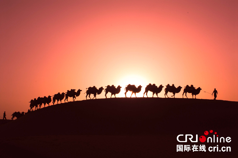 新疆麦盖提：叶尔羌河中游的一颗绿色明珠(图,影视