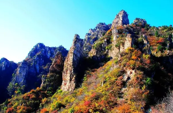 9月北京赏秋最佳地点推荐 钓鱼台银杏大道最有名,影视