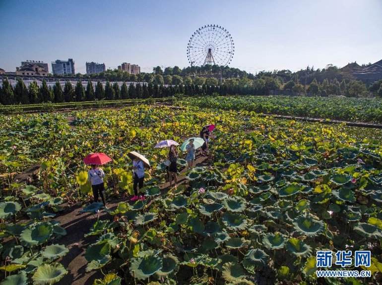 高清：浙江东阳花园村 无限风光在“园”中,影视