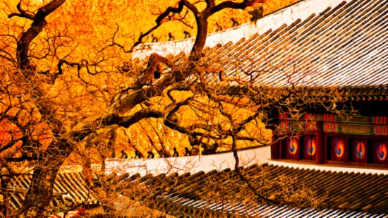 韩国首尔旅游 最美的秋天-昌德宫秘苑,影视