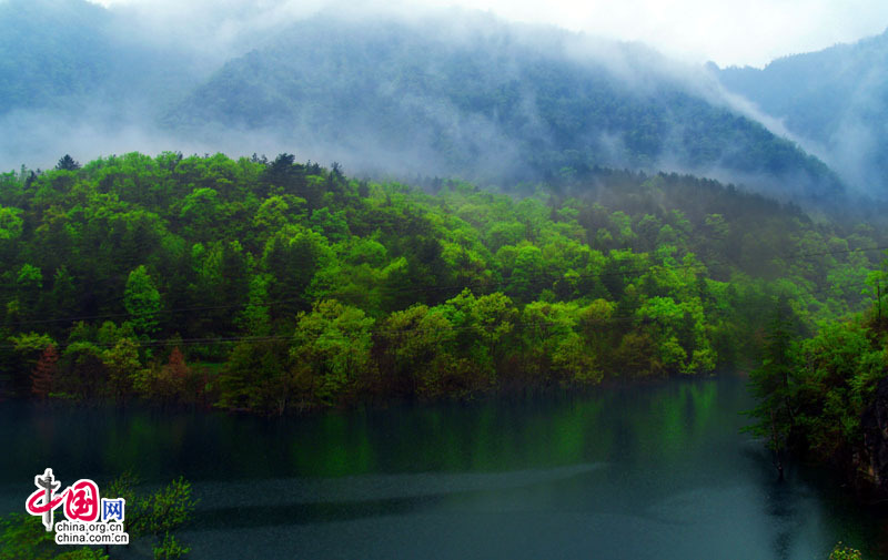 陕西宝鸡太白县青峰峡森林公园 珍稀动植物天堂,影视