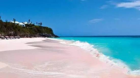 巴哈马粉色沙滩--世界上唯一的粉色沙滩,影视