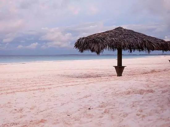 巴哈马粉色沙滩--世界上唯一的粉色沙滩,影视