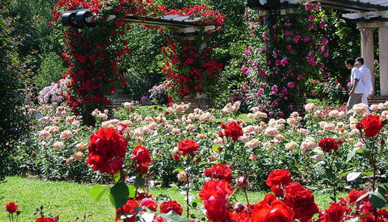 世界13大花园 布查特花园 赫希花园 皇家植物园,影视