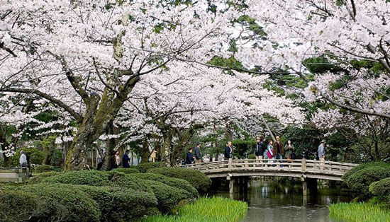 世界13大花园 布查特花园 赫希花园 皇家植物园,影视